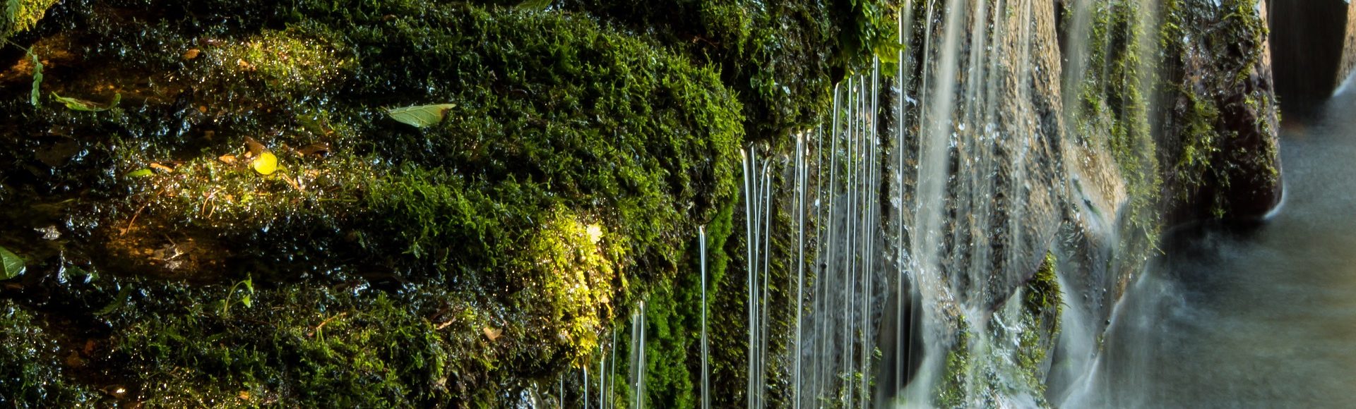 les eaux de vals les bains