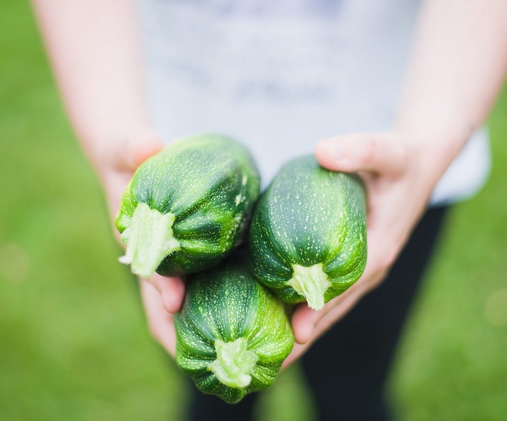 recettes de Melody - Courgettes saumonées (©marisol-benitez)