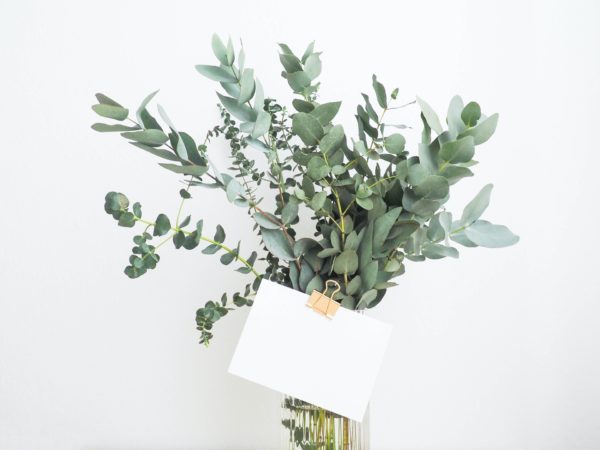 Chèque cadeau 50 €