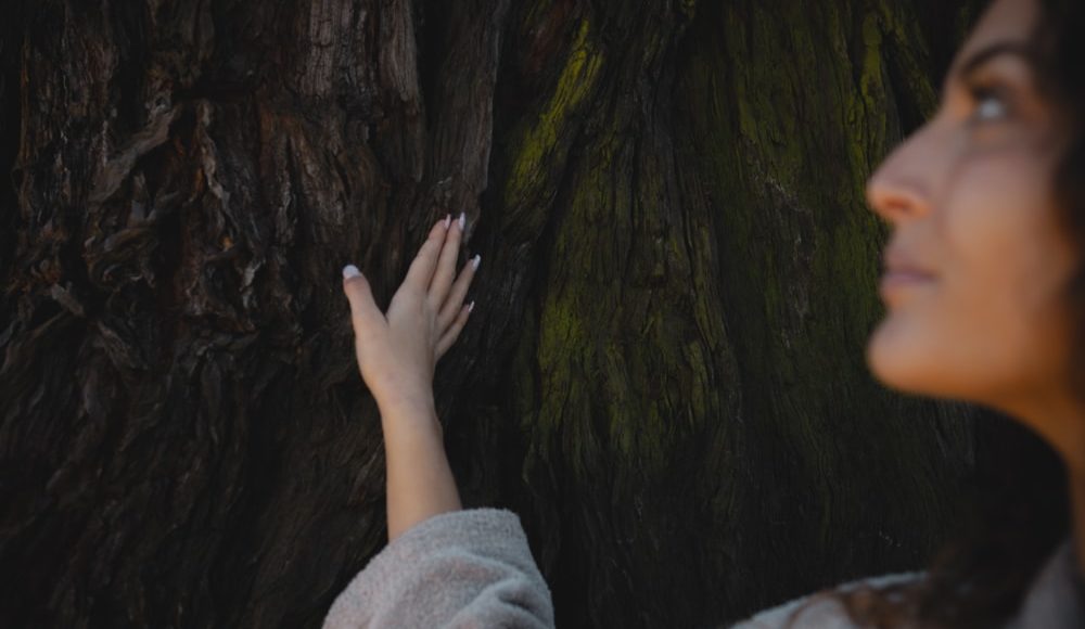 Infos pratiques - Spa Séquoia Redwood - @Lukswave
