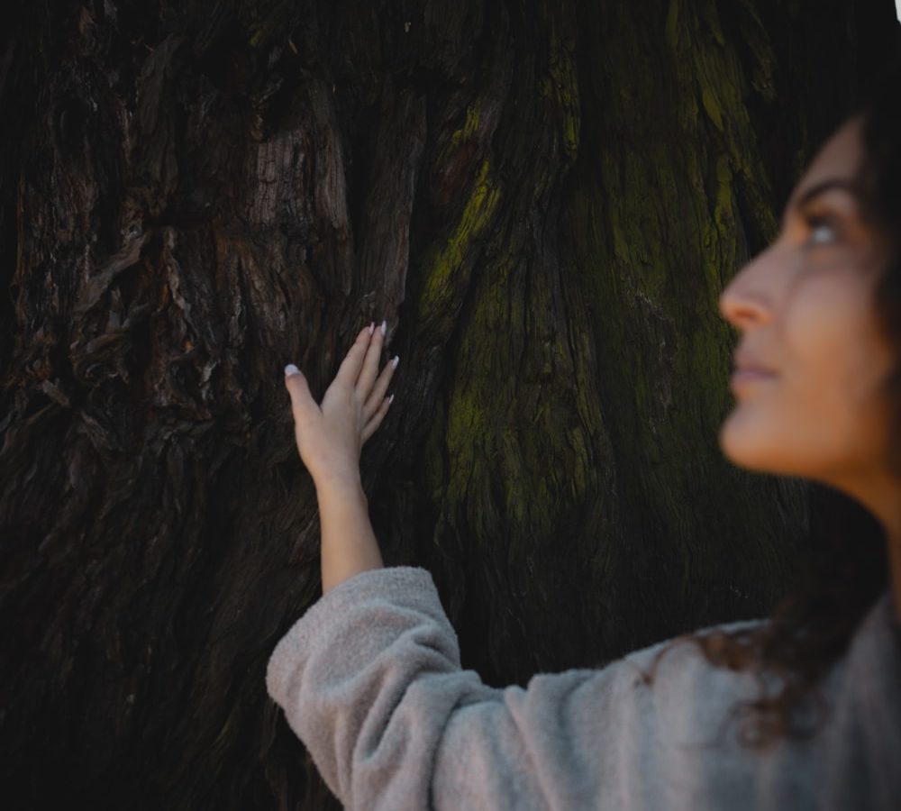 Infos pratiques - Spa Séquoia Redwood - @Lukswave